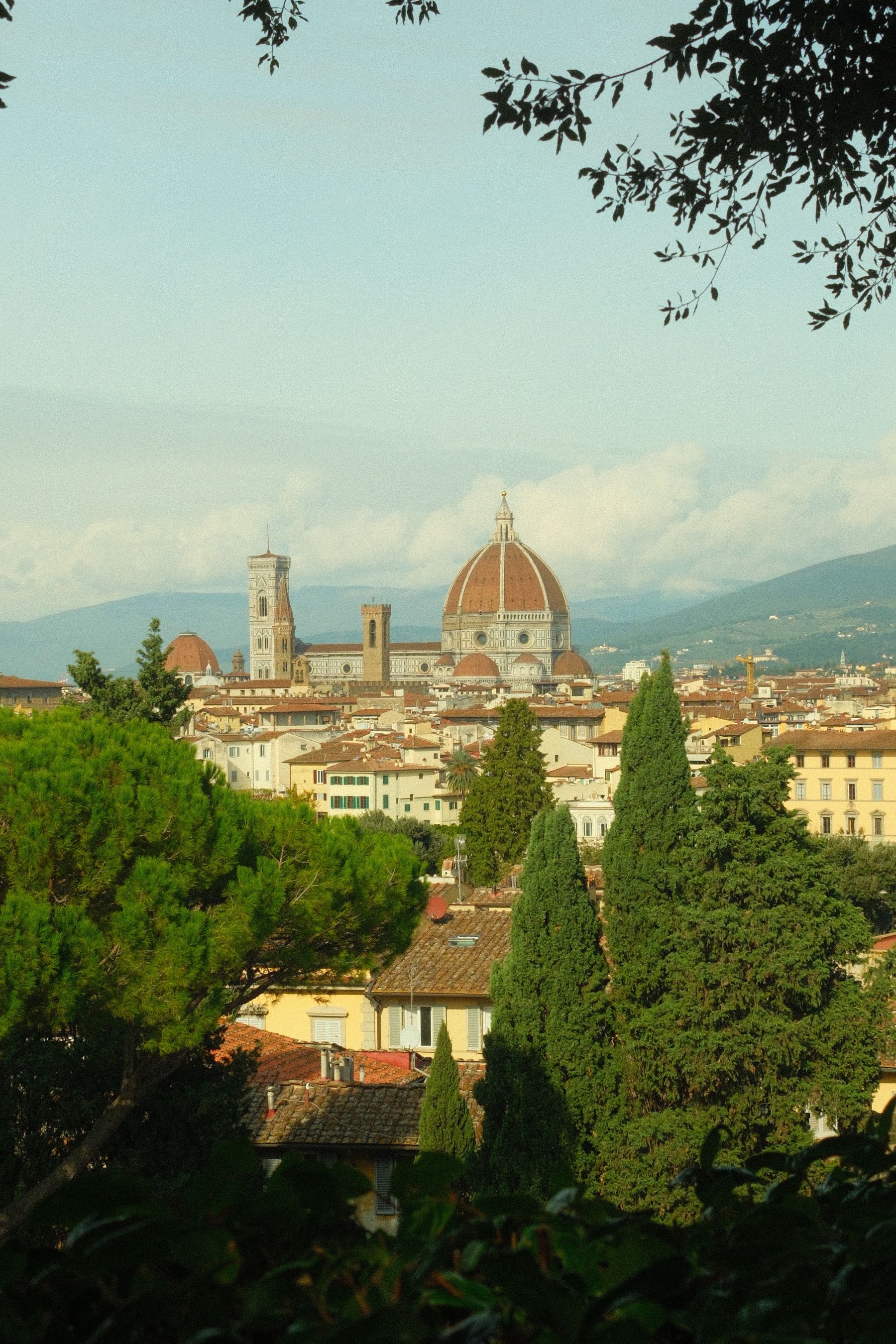 Florence's cathedral dome rising above the city's rooftops and trees